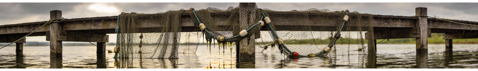 Рыболовные сети